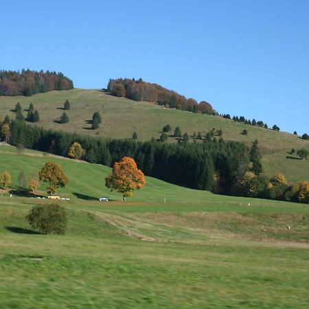 Cozy Holiday Apartment In The Black Forest Dachsberg im Schwarzwald Eksteriør bilde