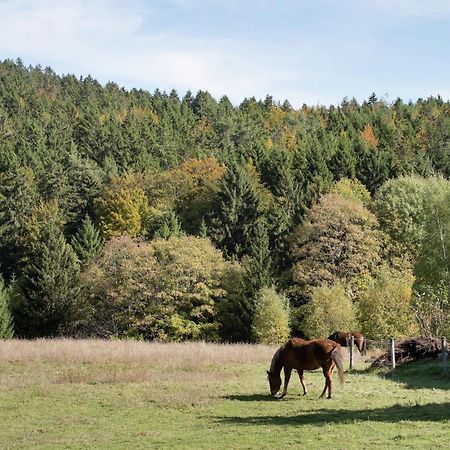Cozy Holiday Apartment In The Black Forest Dachsberg im Schwarzwald Eksteriør bilde