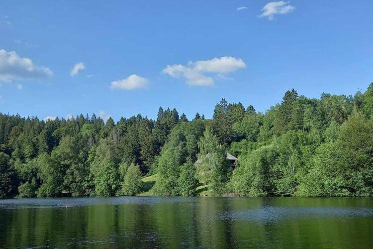 Cozy Holiday Apartment In The Black Forest Dachsberg im Schwarzwald Eksteriør bilde