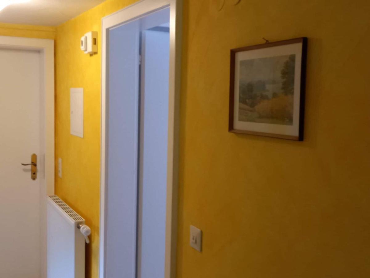 Cozy Holiday Apartment In The Black Forest Dachsberg im Schwarzwald Eksteriør bilde