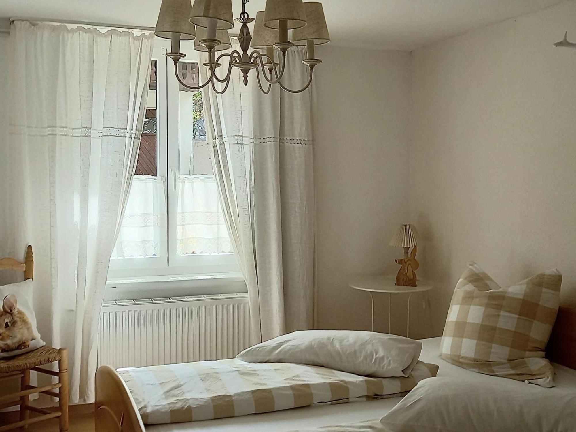 Cozy Holiday Apartment In The Black Forest Dachsberg im Schwarzwald Eksteriør bilde